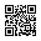 QR CODE 298