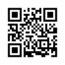 QR CODE 307
