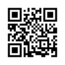 QR CODE 311