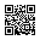 QR CODE 313