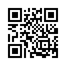 QR CODE 315