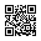 QR CODE 316