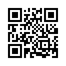 QR CODE 317