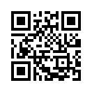 QR CODE 320