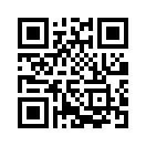 QR CODE 323