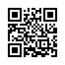 QR CODE 325
