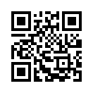 QR CODE 328