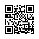 QR CODE 329