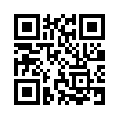 QR CODE 42