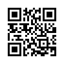 QR CODE 51