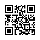 QR CODE 73