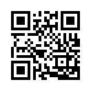 QR CODE 110