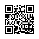 QR CODE 115