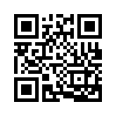 QR CODE 133
