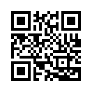 QR CODE 31