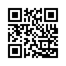 QR CODE 42