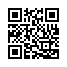 QR CODE 53