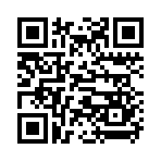 QR CODE 538
