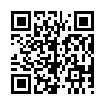 QR CODE 677
