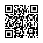 QR CODE 734