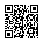 QR CODE 737