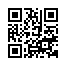 QR CODE 13