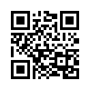 QR CODE 133