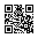 QR CODE 133