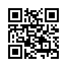 QR CODE 213