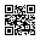 QR CODE 256