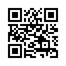 QR CODE 256