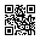 QR CODE 317