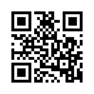 QR CODE 329
