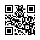 QR CODE 336