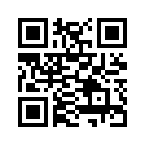 QR CODE 377