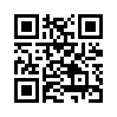 QR CODE 394