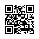 QR CODE 395