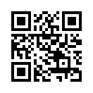 QR CODE 419