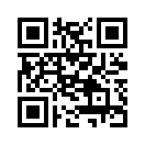 QR CODE 424