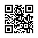 QR CODE 462