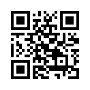 QR CODE 80