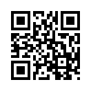 QR CODE 29
