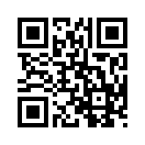 QR CODE 31