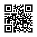 QR CODE 31