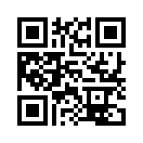 QR CODE 317