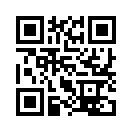 QR CODE 344