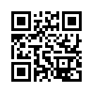 QR CODE 42