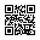 QR CODE 529