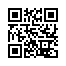 QR CODE 538