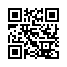 QR CODE 734
